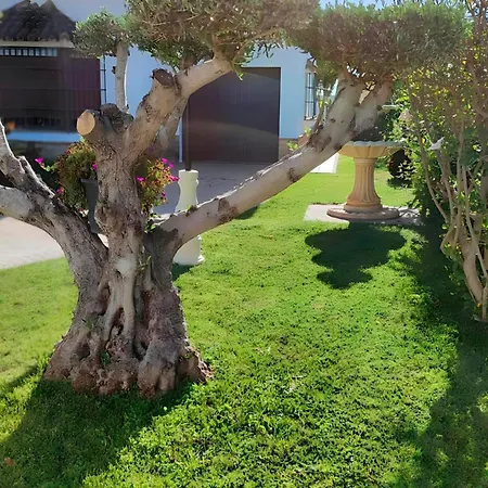 Con Piscina Privada Familias Ii Holiday home Conil De La Frontera